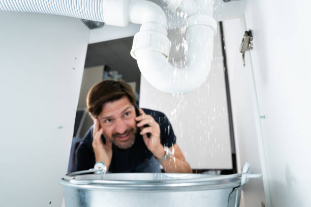 Best Plumbing Repair Near Me  in Pleasant Valley, MO