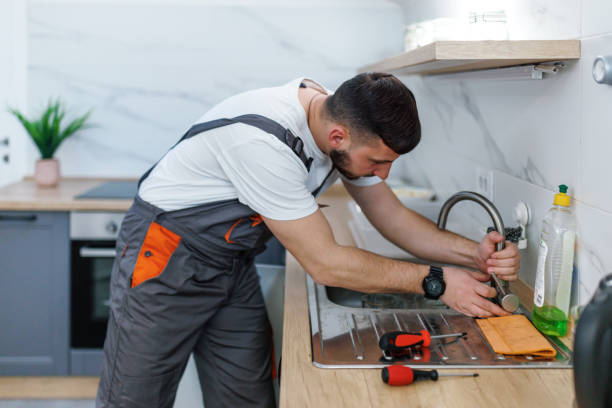 Best Toilet Repair Services  in Pleasant Valley, MO